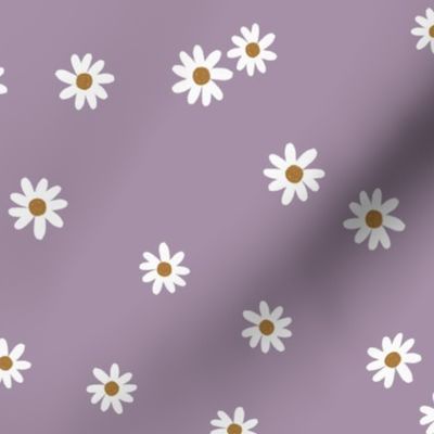 87-4 daisies