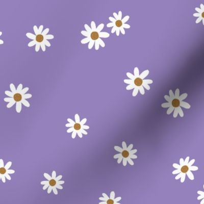 96-4 daisies