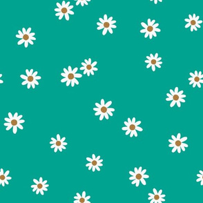 130-14 daisies