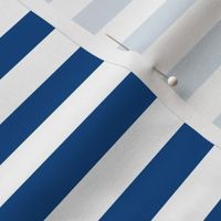 Blue Awning Stripe Pattern Horizontal in White