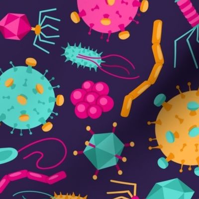 Viruses and Bacteria