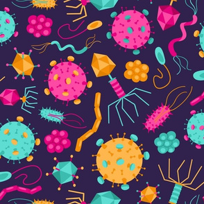 Viruses and Bacteria