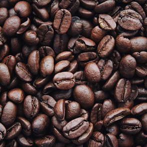 Coffee bean photography