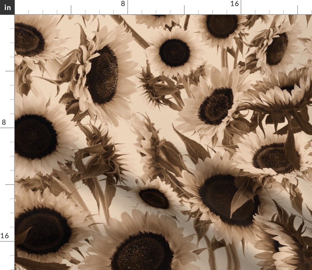 Sunflowers in Sepia (large scale) 
