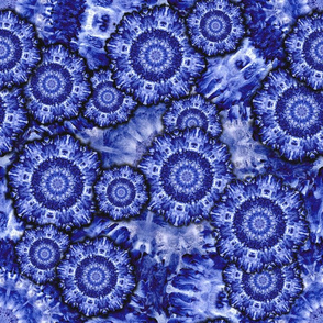  Cell-ebrate Microscopic Worlds COBALT BLUE