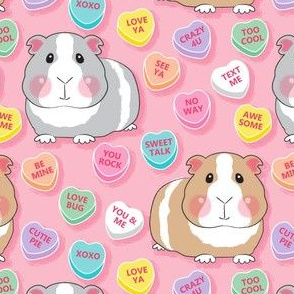 large guinea pigs with conversation hearts