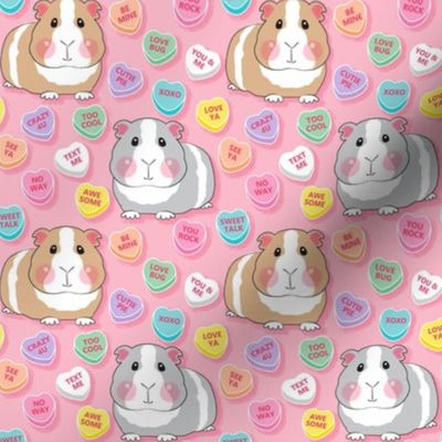 medium guinea pigs with conversation hearts