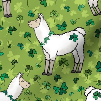 Paddy's Irish Llama Farm 