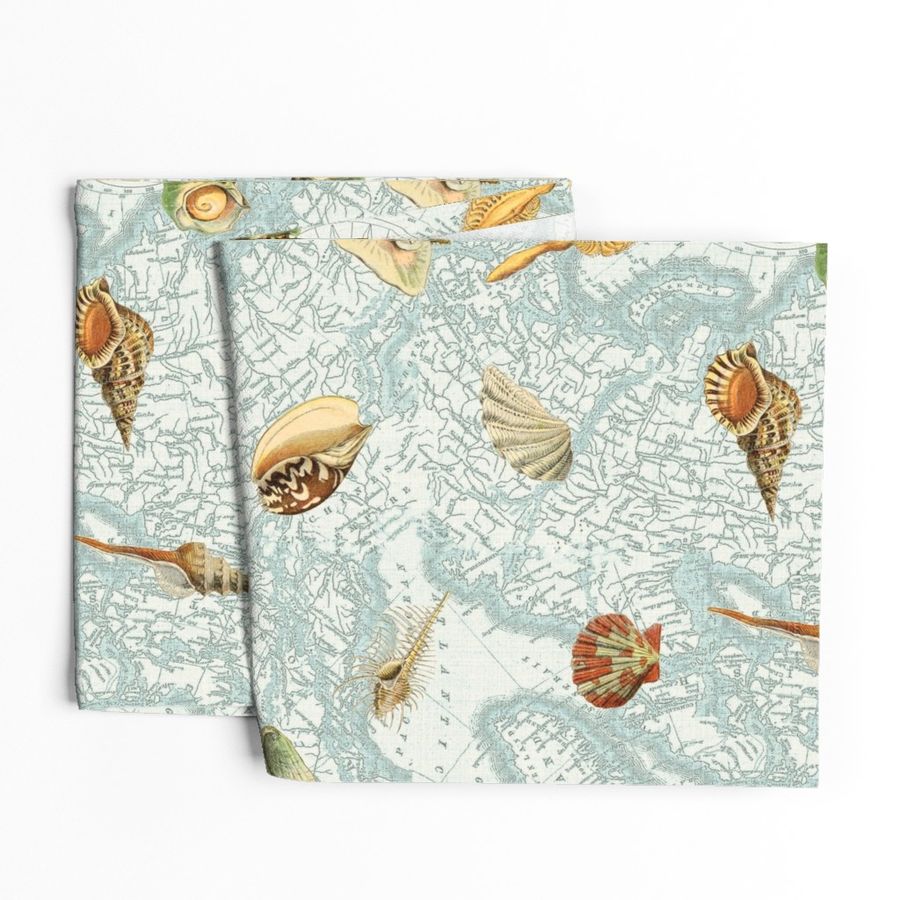 Ocean Sea Shells lg