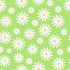 Flower Daisies on Green