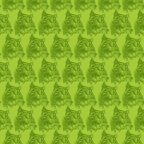 Vintage / Antique Cat Illustration on Lime Green