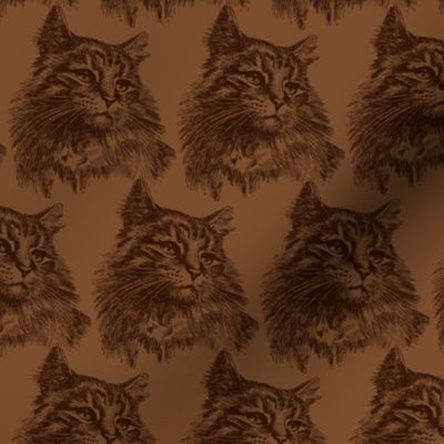 Vintage / Antique Cat Illustration on Brown