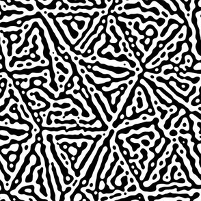 Triangular Turing pattern 3 - black and white