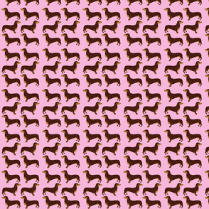Sausage dogs  pink
