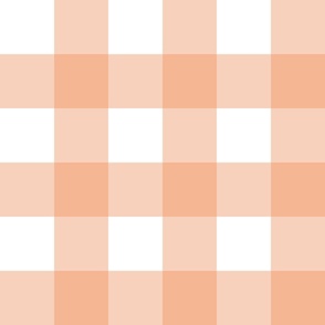 Orange Peach  Buffalo Check - Large Scale Gingham Plaid