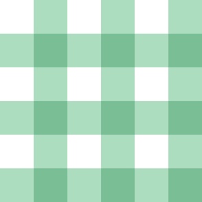 Mint Green Buffalo Check - Large Scale Gingham Plaid