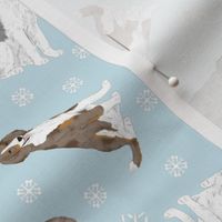 Tiny Merle Doodles - winter snowflakes