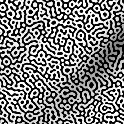 squiggle Turing pattern #7 - black and white