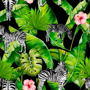 Zebra animal,tropical plants 