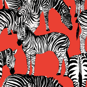 Zebra pattern,animal print,zebra stripes decor