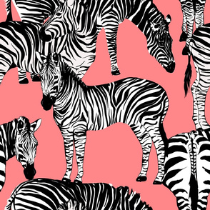 Zebra pattern,zebra print,animal 