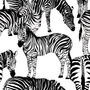 Zebra print,animal print,zebra stripes .