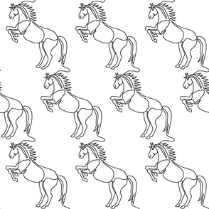 horse continuous line B