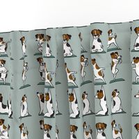 Jack Russell Terrier Yoga_8x8