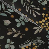 Australian native wattle eucalyptus watercolor floral black - MEDIUM
