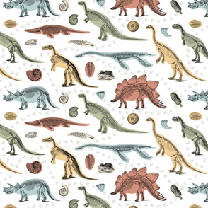 Dinosaurs and Fossils in Rainbow