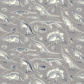 Dinosaurs and Fossils in Gray and Navy
