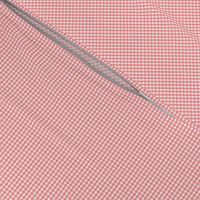 gingham ultra small coral