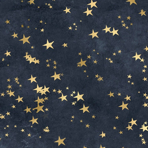 Starry Night Sky Golden Stars Astrology Lover Grey Blue