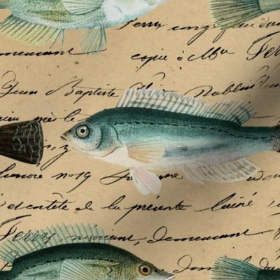 Vintage Fish Art Handwriting Text Cream Color Fisher