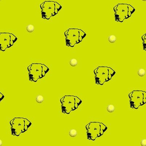 Labrador Retrievers With Tennis Balls Volt Yellow Background