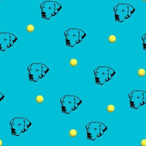 Labrador Retrievers With Tennis Balls Aqua Background
