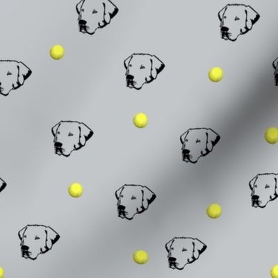 Labrador Retrievers With Tennis Balls Light Grey Background