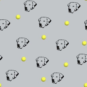 Labrador Retrievers With Tennis Balls Light Grey Background