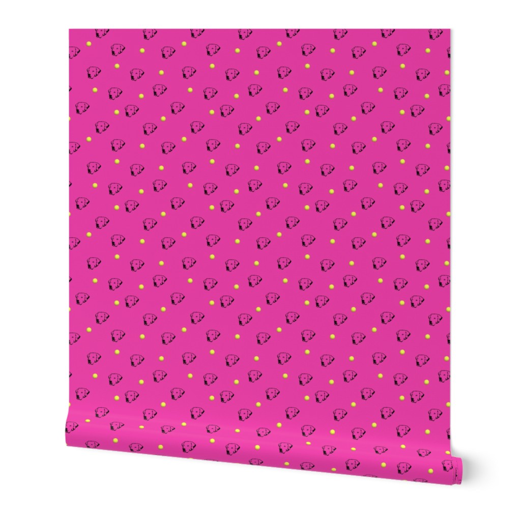 Labrador Retrievers With Tennis Balls Hot Pink Background