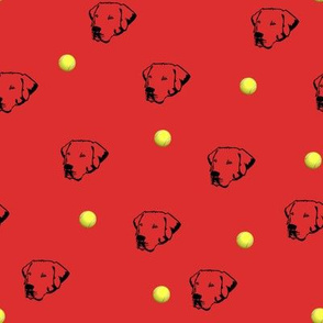 Labrador Retriever With Tennis Balls Red Background