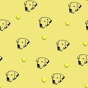 Labrador Retrievers With Tennis Balls Yellow Background