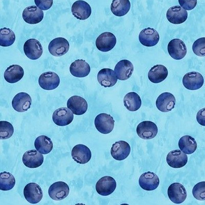 blueberries on blue - LAD20