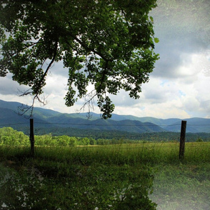 Cades Cove