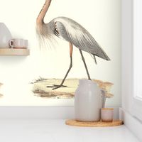 The Great Blue Heron - Vintage Bird / Birds Print