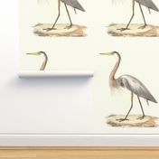 The Great Blue Heron - Vintage Bird / Birds Print