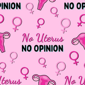 No Uterus No Opinion - large on pink