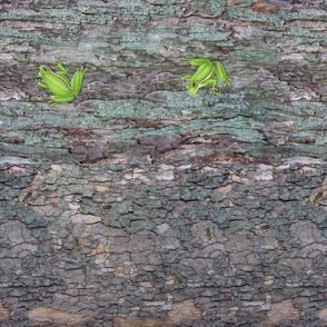 tree bark face mask fronts tree frogs fireflies nuthatches