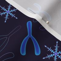 Winter chromosomes