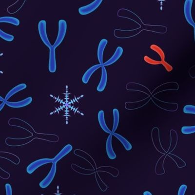 Winter chromosomes