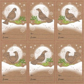 Snow Dove Holiday Gift Tags | Moon and stars gift labels, kraft tags with doves, mistletoe and snowflakes for Christmas, Hannukkah and New Year.